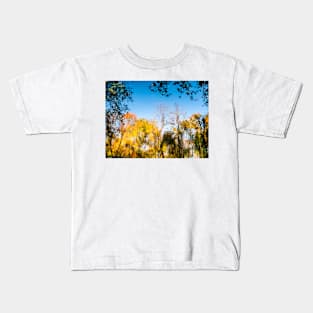 Psychedelic Autumn Pond Kids T-Shirt